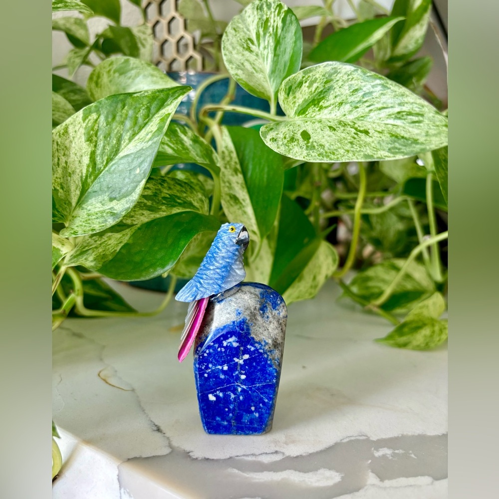Parrot carving on Lapis Lazuli || Handcrafted collectible Art